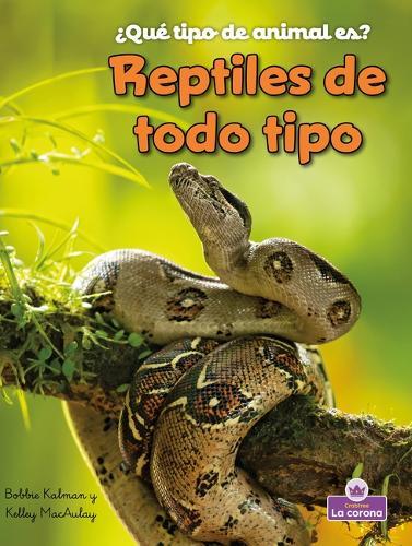 Reptiles de Todo Tipo (Reptiles of All Kinds)
