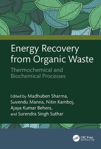 Energy Recovery from Organic Waste: Thermochemical and Biochemical Processes