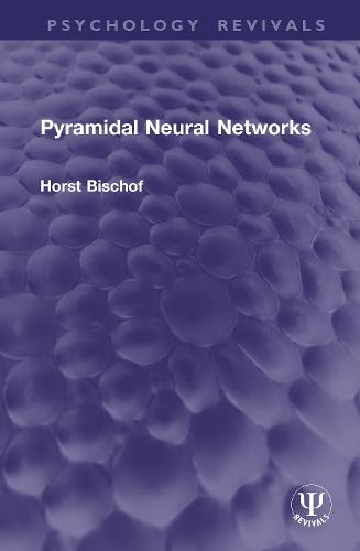 Pyramidal Neural Networks