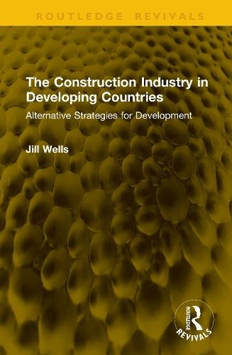 The Construction Industry in Developing Countries: Alternative Strategies for Development