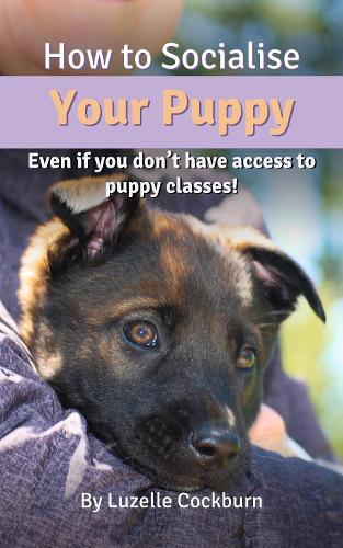 How To Socialise Your Puppy: Even if You Don't Have Access to Puppy Classes