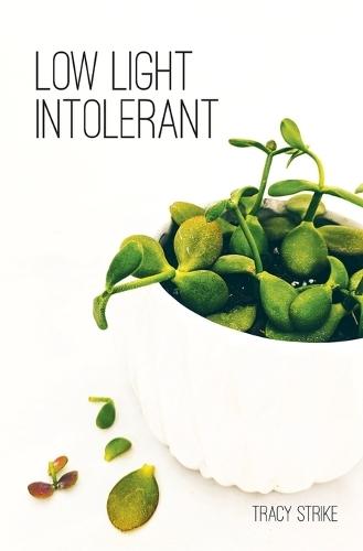 Low Light Intolerant