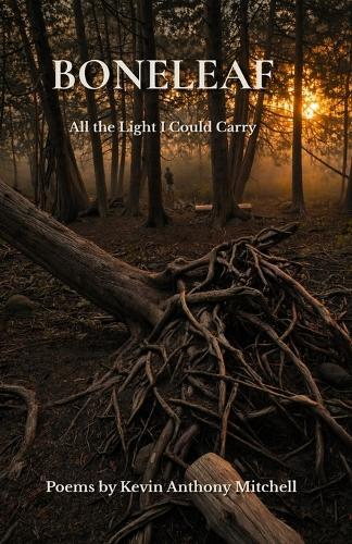 Boneleaf: All the Light I Could Carry