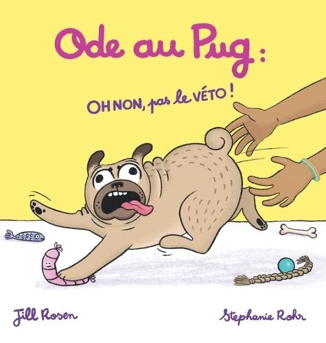 Ode au Pug: OH NON, pas le VÉTO !