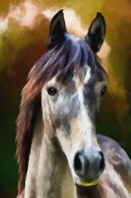 Pferde Bullet Journal: Notizbuch: Pferde Cover Design / 120 Seiten / Punkteraster / DIN A5 / Softcover optimal als Malbuch und f r Skizzen