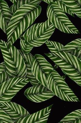 Cool Tropical Leaf Pattern Journal: 150 Page Lined Notebook/Diary