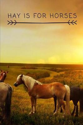 Hay is for Horses: Novelty Equestrian Notebook Small Lined Notebook