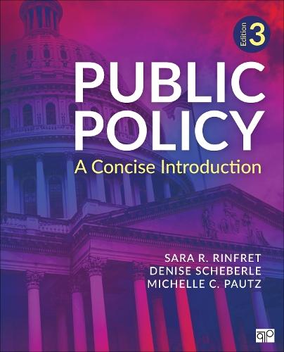 Public Policy: A Concise Introduction