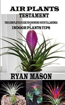 Air Plants Testament: The Complete Guide To Growing Your Tillandsia + Indoor Plants Tips