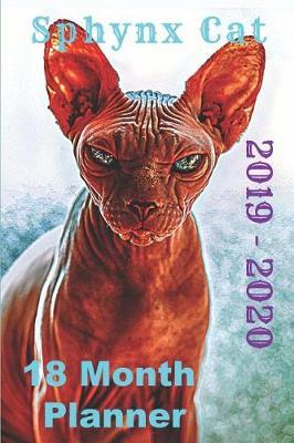 Sphynx Cat 2019 - 2020 18 Month Planner: July 2019 - December 2020 18 Month Weekly Planner with Goals & Dreams Sphynx Hairless Cat