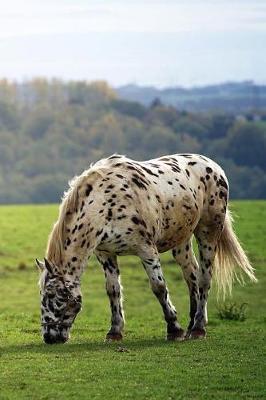 A Black and Cream Spotted Pony in the Meadow Journal: 150 Page Lined Notebook/Diary