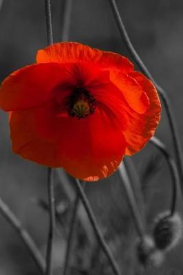 A Radiant Red Poppy Journal: 150 Page Lined Notebook/Diary