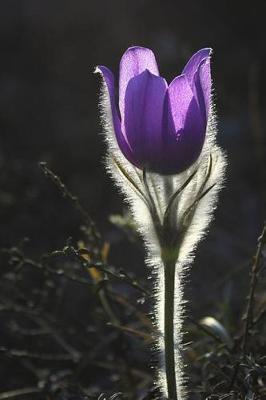 Wild and Free: Purple Flower Journal: 150 Page Lined Notebook/Diary