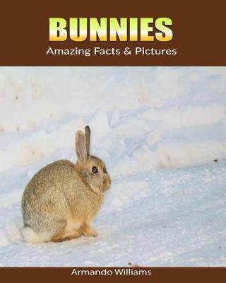 Bunnies: Amazing Facts & Pictures