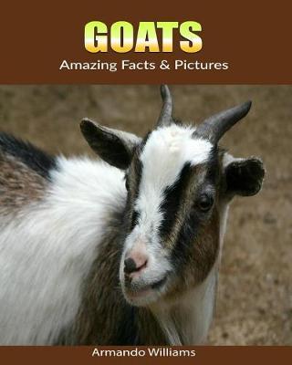 Goats: Amazing Facts & Pictures