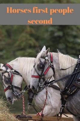 Horses first people second: A5 (6 x 9 Inches) Notebook Journal Diary . High Quality Hand Writing Journal With 100 Pages