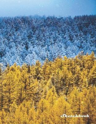 Sketchbook: 300 Pages 8.5 X 11 Sketch book with Large Blank Graph Paper and Blank White Paper, Sketching, Drawing and Record Creative Ideas, Notebook to Draw and Journal