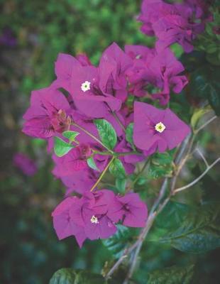 Sketchbook Journal & Diary: For Sketching, Drawing, Doodling, or Writing at School, Work, and Home!