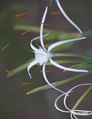 Sketchbook Journal & Diary: For Sketching, Drawing, Doodling, or Writing at School, Work, and Home!