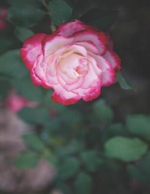 Sketchbook Journal & Diary: For Sketching, Drawing, Doodling, or Writing at School, Work, and Home!