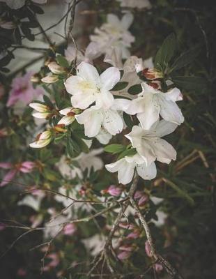 Sketchbook Journal & Diary: For Sketching, Drawing, Doodling, or Writing at School, Work, and Home!