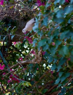 Sketchbook Journal & Diary: For Sketching, Drawing, Doodling, or Writing at School, Work, and Home!