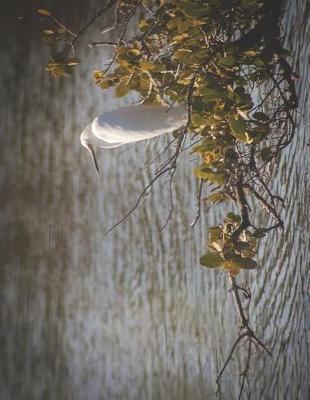 Sketchbook Journal & Diary: For Sketching, Drawing, Doodling, or Writing at School, Work, and Home!