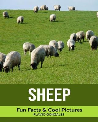 Sheep: Fun Facts & Cool Pictures