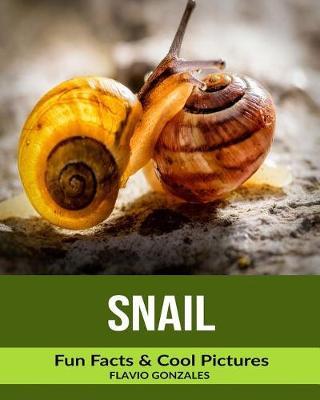 Snail: Fun Facts & Cool Pictures