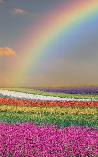 Notebook: Flowers & Rainbows Spring Time 5 x 8 150 Ruled Pages