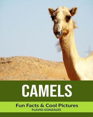 Camels: Fun Facts & Cool Pictures