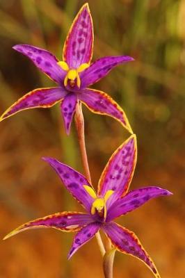 Queen of Sheba Orchid in Western Australia Journal: 150 Page Lined Notebook/Diary