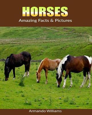 Horses: Amazing Facts & Pictures