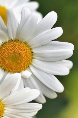 Delightful Daisy Flowers Journal: 150 Page Lined Notebook/Diary