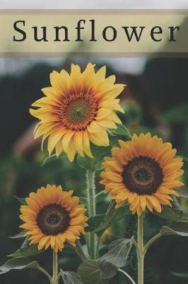Sunflower: Notebook Journals To Write In For Women Men Teens Gift for Sunflower Lovers