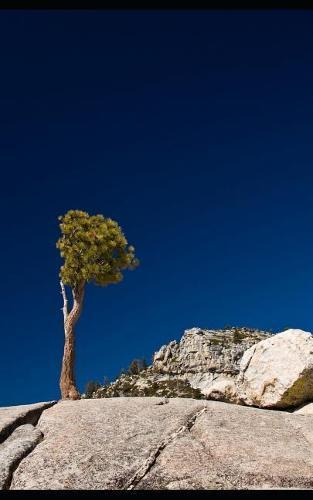 Notebook: Yosemite National Park California Sierra Nevada Mountains 5 x 8 150 Ruled Pages