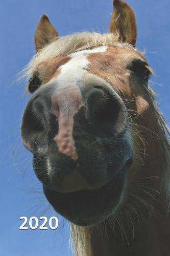 2020: Pferde Kalender - Wochenplaner - Zielsetzung - Zeitmanagement - Produktivitat - Terminplaner - Terminkalender - +10 Seiten Adressen + 12 Seiten Arbeitszeiten/Stundenzettel fur 1 Jahr +20 Seiten Punkteraster fur Notizen