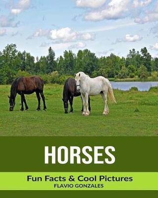Horses: Fun Facts & Cool Pictures