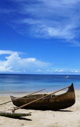 Notebook: Madagascar East Africa 5 x 8 150 Ruled Pages