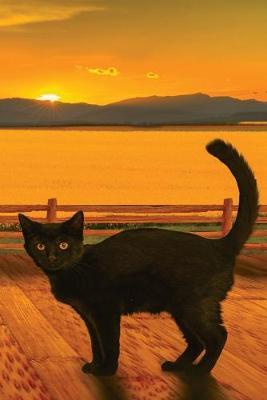 Sunset Cat: Blank Lined Journal