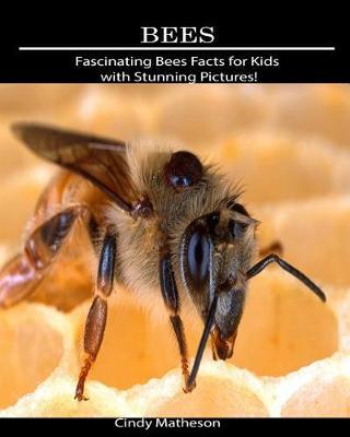 Bees: Fascinating Bees Facts for Kids with Stunning Pictures!
