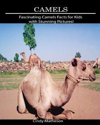Camels: Fascinating Camels Facts for Kids with Stunning Pictures!