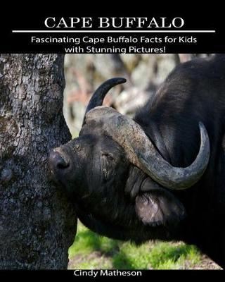 Cape Buffalo: Fascinating Cape Buffalo Facts for Kids with Stunning Pictures!