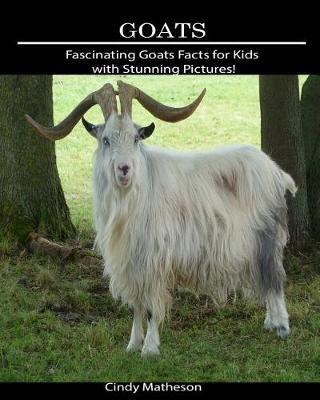 Goats: Fascinating Goats Facts for Kids with Stunning Pictures!
