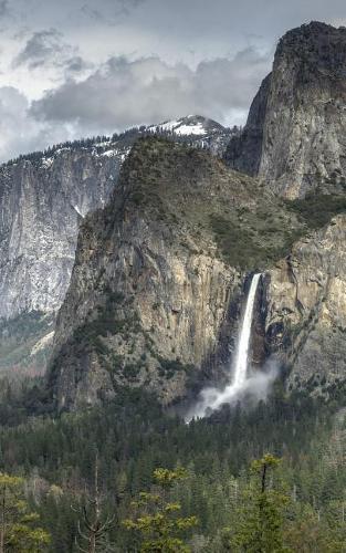 Notebook: National Parks Forestry Nature Park Parklands Gardens Garden 5 x 8 150 Ruled Pages