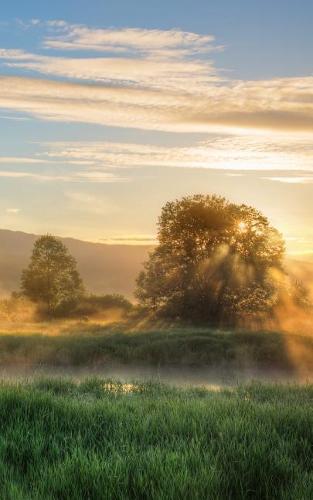 Notebook: British Columbia Canada Canadian North America 5 x 8 150 Ruled Pages