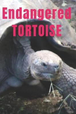 Endangered Tortoise: Journal