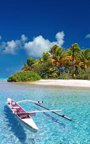 Notebook: Polynesia French Polynesian Pacific Ocean Islands 5  x 8  150 Ruled Pages