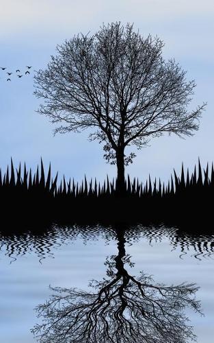 Notebook: Nature Sky Clouds Landscape Sea Reflection Blue Grey Birds 5 x 8 150 Ruled Pages