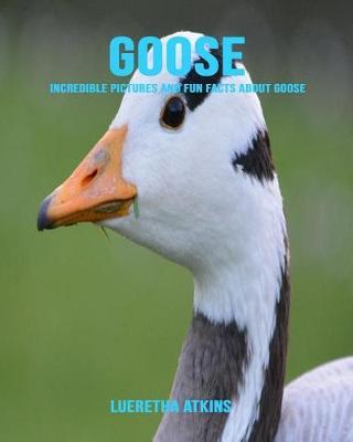Goose: Incredible Pictures and Fun Facts about Goose